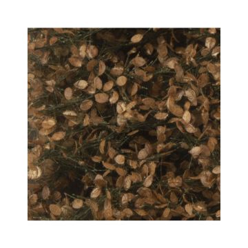 Silhouette Appelboom loof met appels - Late herfst - ca. 50x31,5 cm - 1:45+ (926-34H)