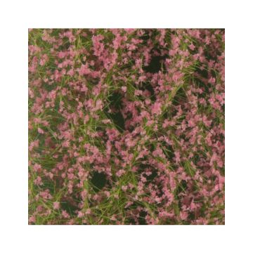 Silhouette Abrikozen bloesem - Lente - ca. 15x4cm - H0 / TT (928-21S)