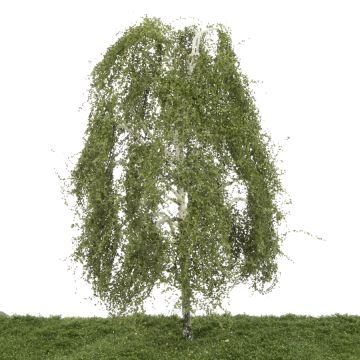 Silhouette Berk - Lente - 40-45cm (311-004-1)