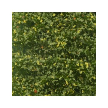 Silhouette Berkenloof - Vroege herfst - ca. 27x16,5cm - N / Z (910-13)