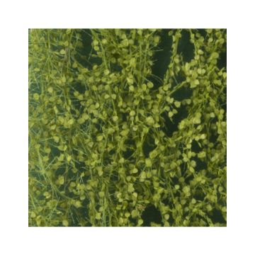 Silhouette Berkenloof - Lente - ca. 27x16,5cm - H0 / TT (910-21)