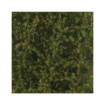 Silhouette Berkenloof - Zomer - ca. 63x50cm - N / Z (910-12G)