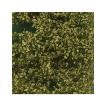 Silhouette Berkenloof - Zomer - ca. 50x31,5cm - H0 / TT (910-22H)