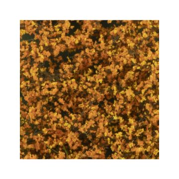 Silhouette Berkenloof - Late herfst - ca. 63x50cm - N / Z (910-14G)