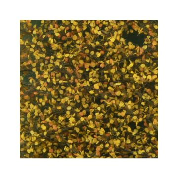 Silhouette Berkenloof - Late herfst - ca. 63x50cm - H0 / TT (910-24G)