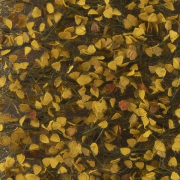 Silhouette Berkenloof - Late herfst - ca. 50x31,5cm - 1:45+ (910-34H)