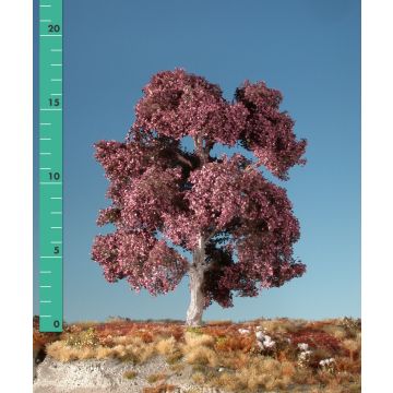 Silhouette Rode beuk - Zomer - 1 (ca. 10-13cm) - N / Z (122-12)
