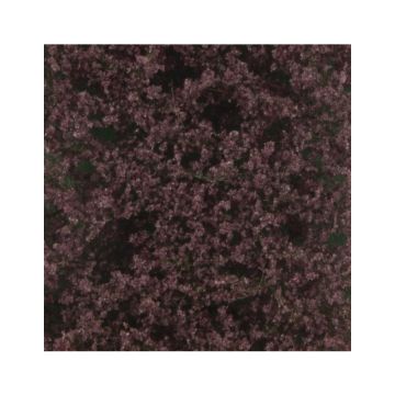 Silhouette Rode beukenloof - Zomer - ca. 27x16,5cm - N / Z (922-12)