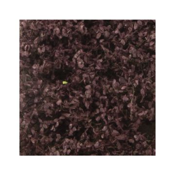 Silhouette Rode beukenloof - Zomer - ca. 27x16,5cm - H0 / TT (922-22)