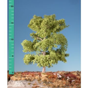 Silhouette Beuk - Lente - 1 (ca. 10-13cm) - N / Z (120-11)