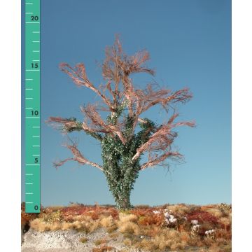 Silhouette Beuk met klimop begroeiing - Late herfst - 2 (ca. 15-20cm) - H0 / TT (221-24)