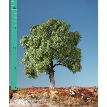 Silhouette Beuk - Zomer - 1 (ca. 10-13cm) - N / Z (120-12)