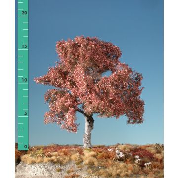 Silhouette Beuk - Late herfst - 1 (ca. 10-13cm) - N / Z (120-14)