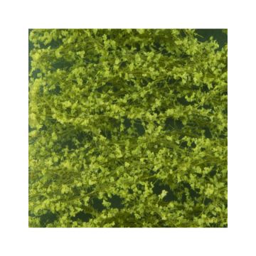 Silhouette Beukenloof - Lente - ca. 27x16,5cm - N / Z (920-11)