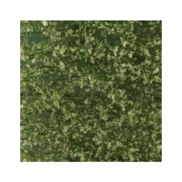 Silhouette Beukenloof - Zomer - ca. 63x50cm - N / Z (920-12G)