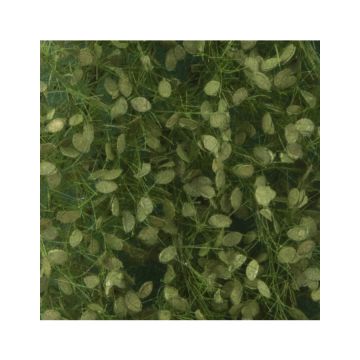 Silhouette Beukenloof - Zomer - ca. 27x16,5cm - 1:45+ (920-32)
