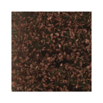 Silhouette Beukenloof - Late herfst - ca. 27x16,5cm - H0 / TT (920-24)