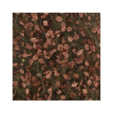 Silhouette Beukenloof - Late herfst - ca. 15x4cm - 1:45+ (920-34S)