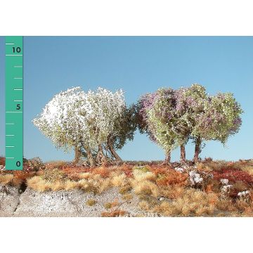 Silhouette Hoge struiken bloeiend - Lente - 0 (< ca. 8cm) - H0 / TT (250-05)