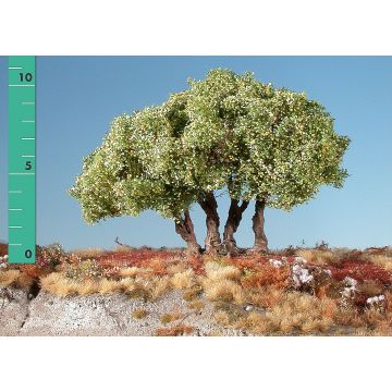 Silhouette Hoge struiken - Vroege herfst - ca. 12cm - N / Z (350-13)