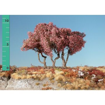 Silhouette Hoge struiken - Late herfst - 1 (ca. 10-13cm) - H0 / TT (250-14)