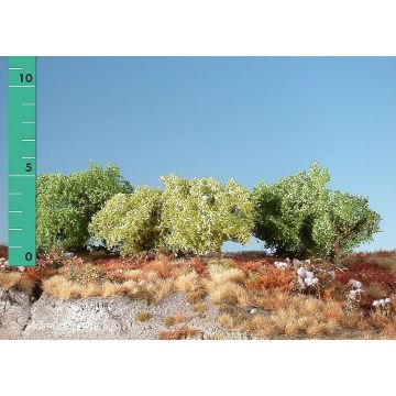 Silhouette Lage struiken - Lente - 0 (< ca. 8cm) - H0 / TT (251-01)
