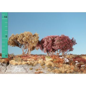 Silhouette Lage struiken - Late herfst - ca. 8cm (350-04)