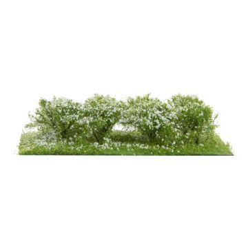 Silhouette Struiken / heggen - Wit - 3cm - H0 / TT (252-25)