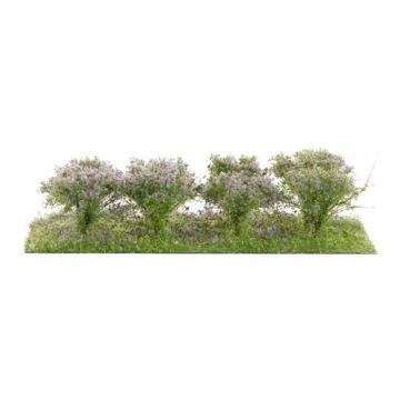 Silhouette Struiken / heggen - Violet - 3cm - H0 / TT (252-28)