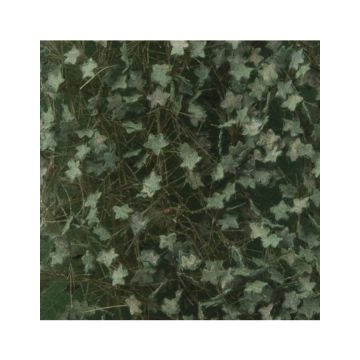 Silhouette Klimop - Zomer - ca. 50x31,5cm - 1:45+ (936-32H)