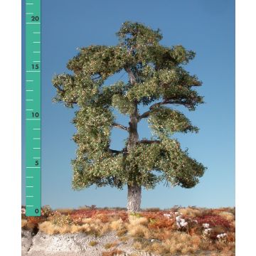 Silhouette Eik - Vroege herfst - 1 (ca. 10-13cm) - N / Z (180-13)