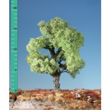 Silhouette Eik - Kaal - 1 (ca. 10-13cm) (280-10)