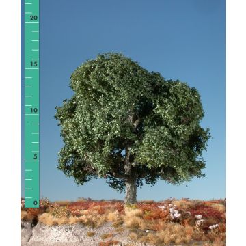Silhouette Eik - Zomer - 1 (ca. 10-13cm) - N / Z (180-12)