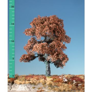 Silhouette Eik - Late herfst - 1 (ca. 10-13cm) - N / Z (180-14)