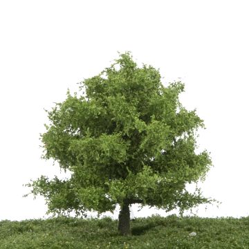 Silhouette Eik - Lente - 12-16cm (280-41)