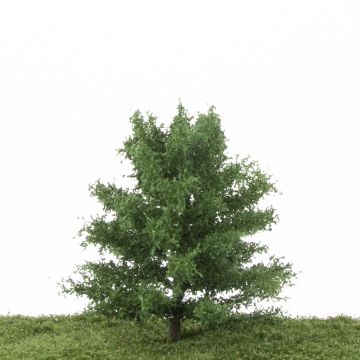 Silhouette Eik - Zomer - 12-16cm (280-42)