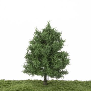 Silhouette Eik - Zomer - 17-22cm (280-52)