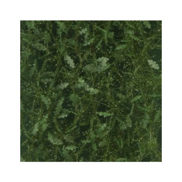 Silhouette Eikenloof - Zomer - ca. 50x31,5cm - 1:45+ (980-32H)