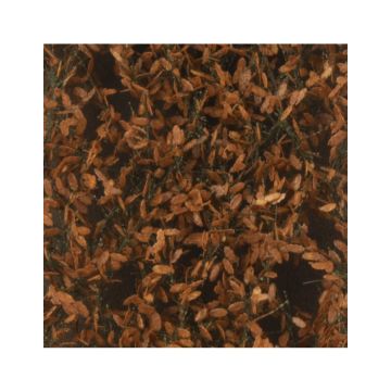 Silhouette Eikenloof - Late herfst - ca. 27x16,5cm - H0 / TT (980-24)