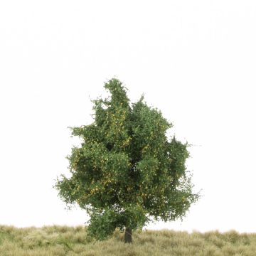 Silhouette Esp - Vroege herfst - 12-16cm (215-43)