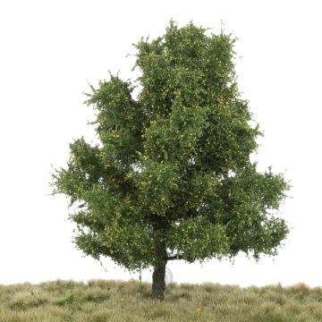 Silhouette Esp - Vroege herfst - 0 (< ca. 8cm) (215-63)