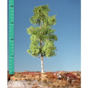 Silhouette Esp - Lente - 2 (ca. 15-20cm) - H0 / TT (215-21)