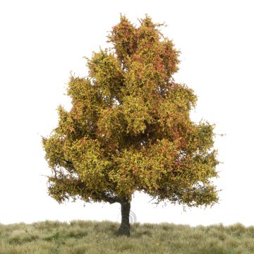 Silhouette Esp - Late herfst - 0 (< ca. 8cm) (215-64)