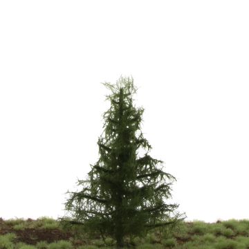 Silhouette Groene spar - Zomer - 12-16cm (273-42)