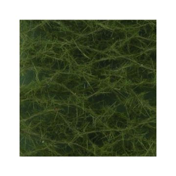 Silhouette Groene spar - Zomer - ca. 27x16,5cm - 1:45+ (973-32)