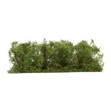 Silhouette Kreuoelhout - Vroege herfst - 3cm - 1:45+ (252-33)