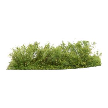 Silhouette Kreupelhout - Lente - 3cm - 1:45+ (252-31)