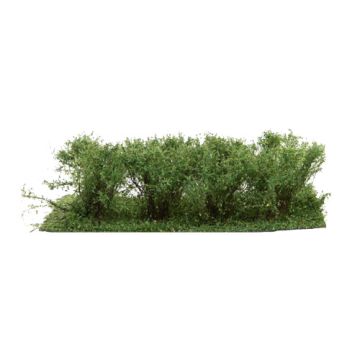 Silhouette Kreupelhout - Zomer - 3cm - 1:45+ (252-32)