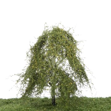 Silhouette Hangberk - Vroege herfst - 12-16cm (211-43)