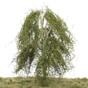 Silhouette Hangberk - Vroege herfst - 0 (< ca. 8cm) (211-63)
